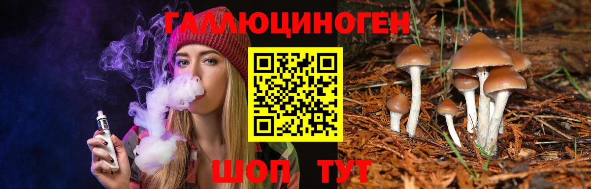 Псилоцибиновые грибы мицелий Камышин